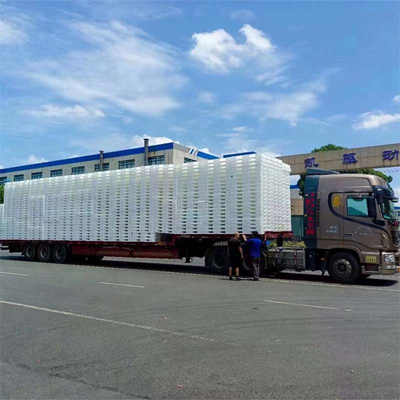 浚县黄埔区物流：多元服务与高效运输线路探秘